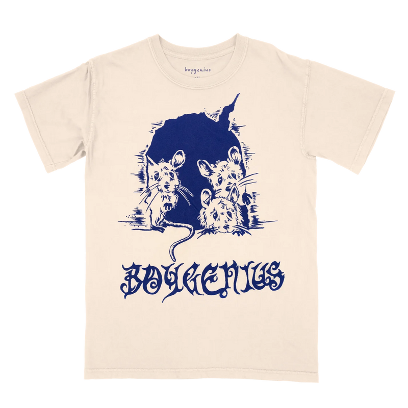 Merch Boygenius
